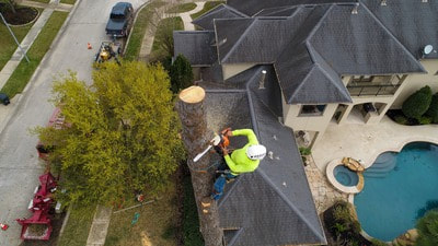 Tree trimming for tree over roof.